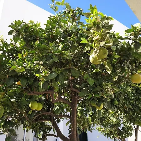 Appartement In Arico Arico el Nuevo