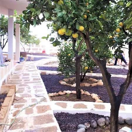 Apartment In Arico
