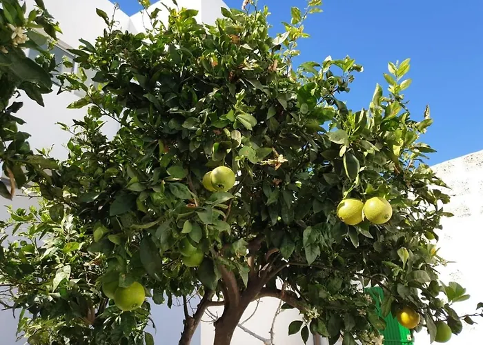 In Arico Appartamento Arico el Nuevo