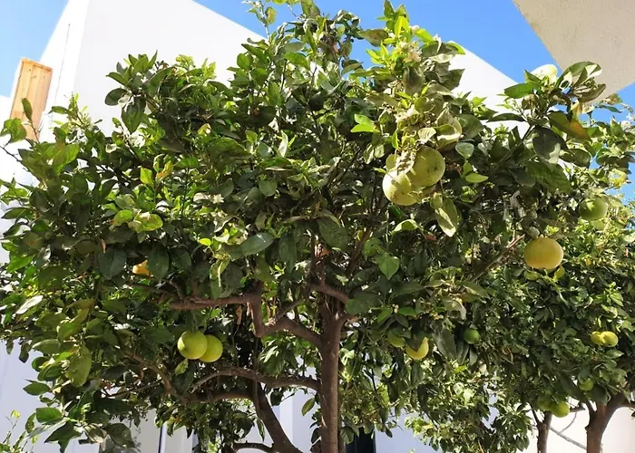 Appartamento In Arico Arico el Nuevo