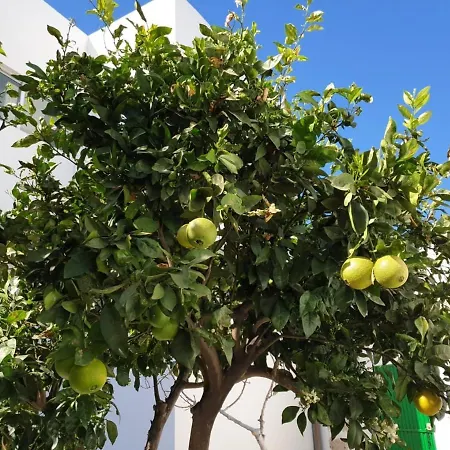 In Arico Apartmán Arico el Nuevo