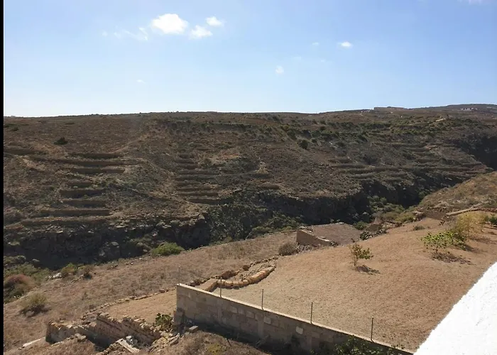 In Arico * Arico el Nuevo